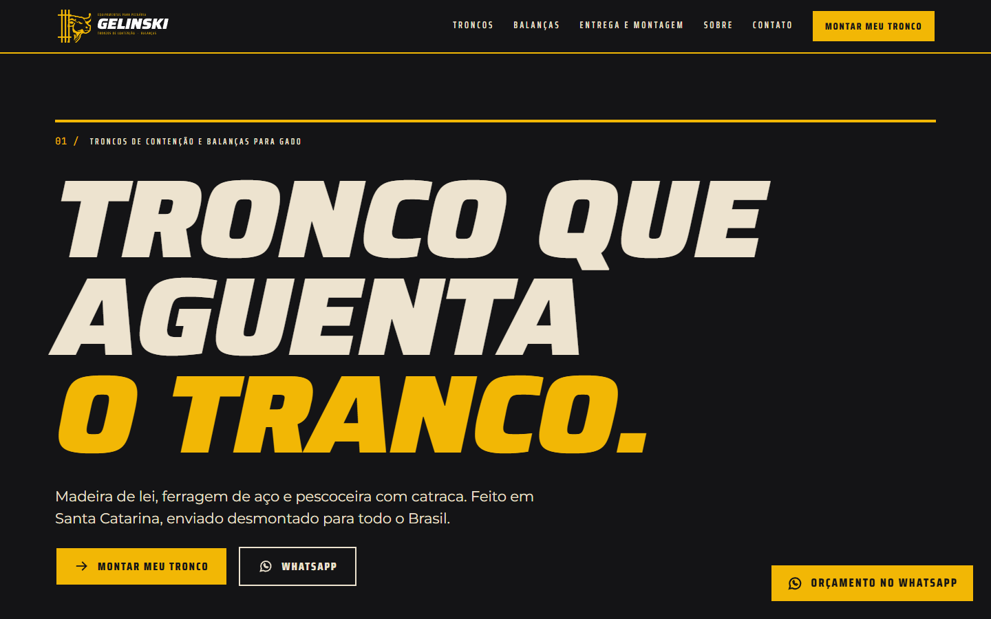 Página inicial do novo site da Gelinski