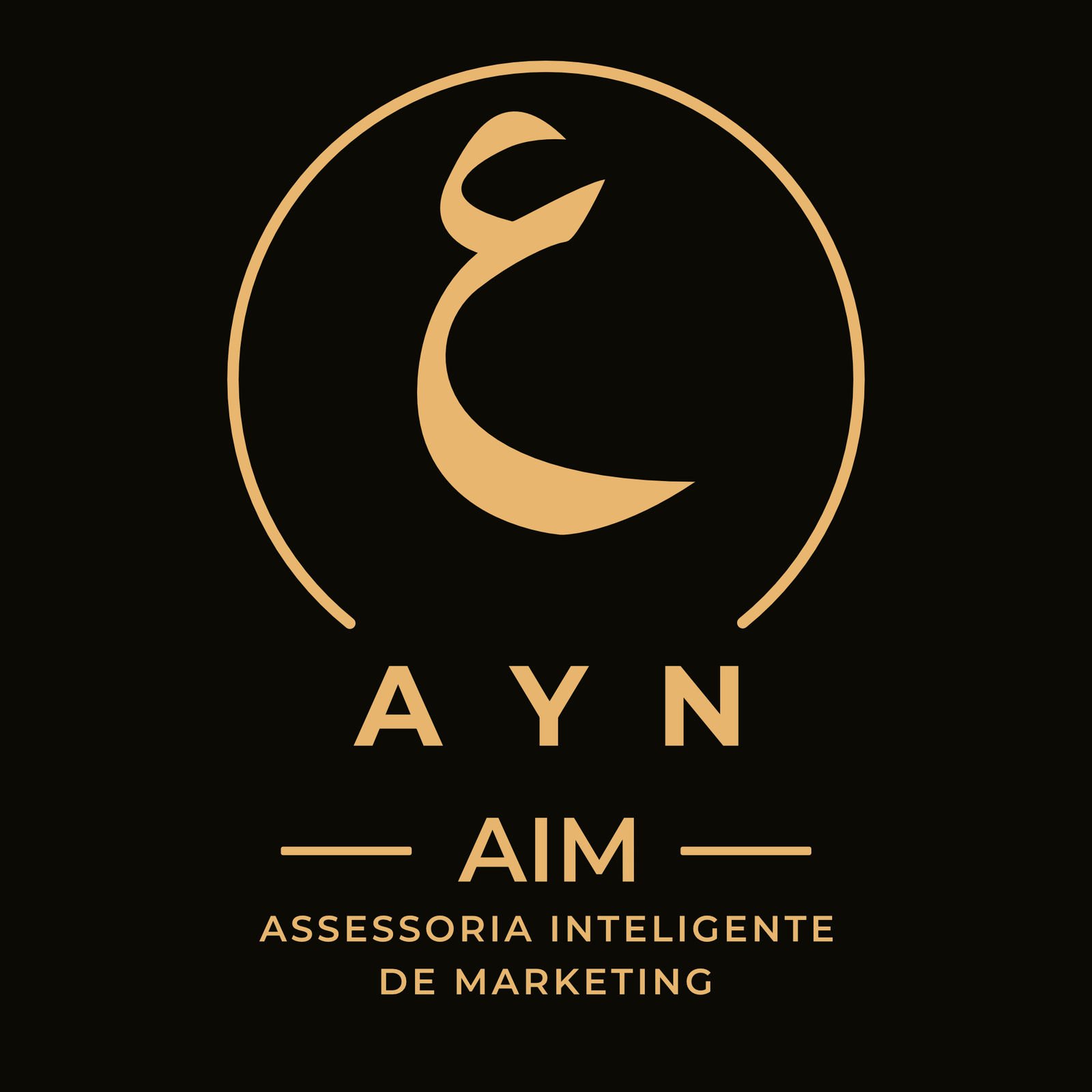 Logo da AYN, assessoria inteligente de marketing